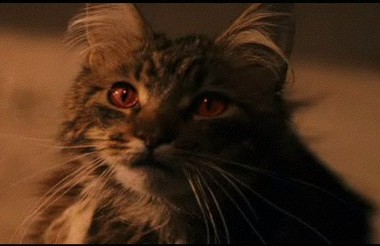 Harry Potter - Filchova Kočka ve třetím patře