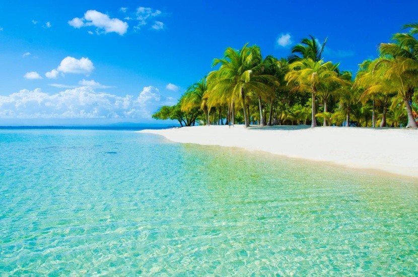 Moře a palmy - to je Karibik