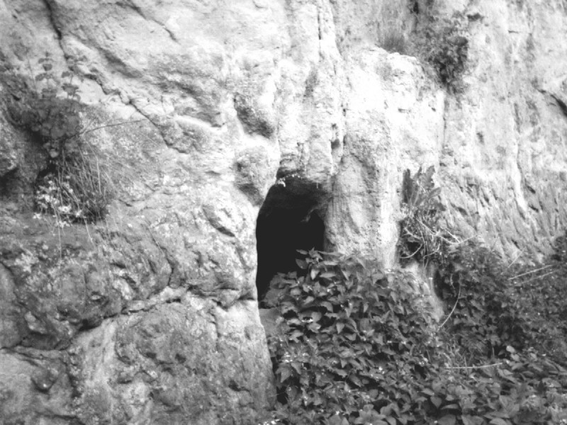 Jeskyně u Mnichova Hradiště.