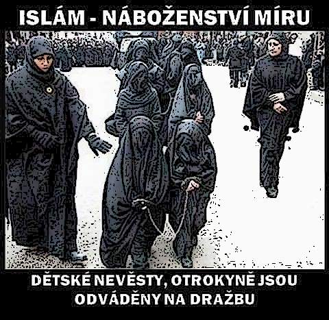 Dětské otrokyně - hanba lidské civilizace! A ty ženské bachařky? Muslimská verze českého: Ať sousedovi taky chcípne prase!