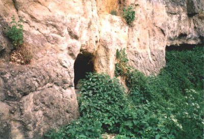 Mločí jeskyně u Mnichova Hradiště